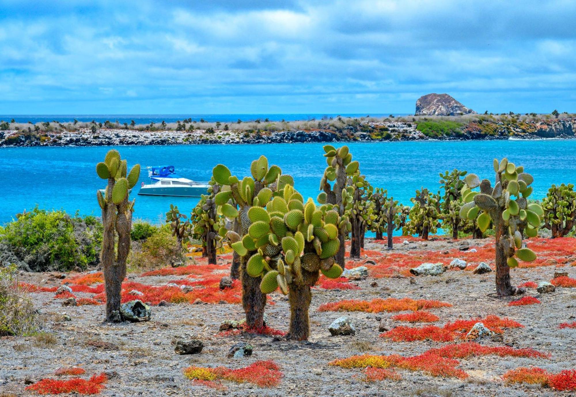 Royal Palm Galapagos, Curio Collection Hotel By Hilton Bellavista  Εξωτερικό φωτογραφία